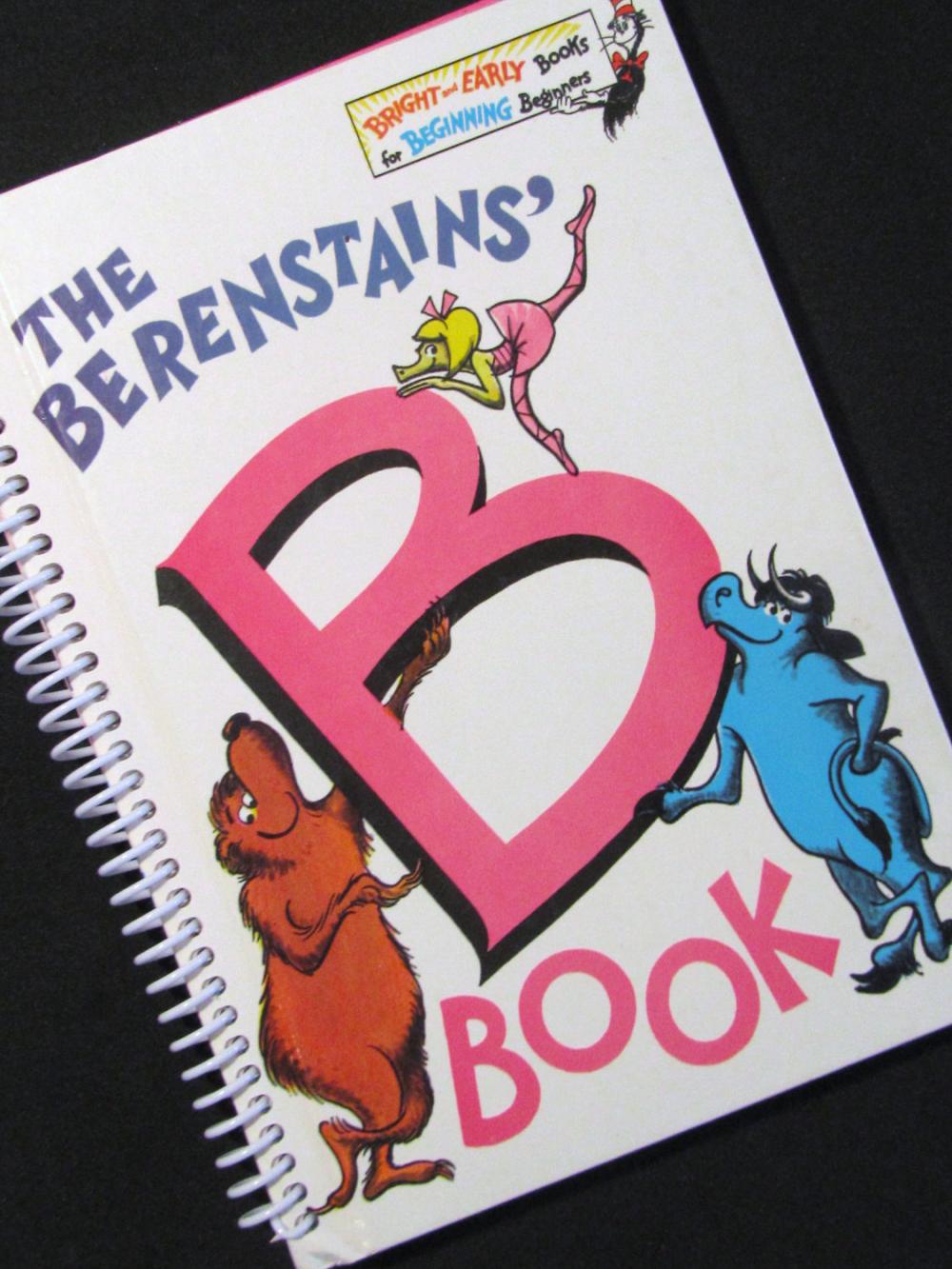 The b book berenstain